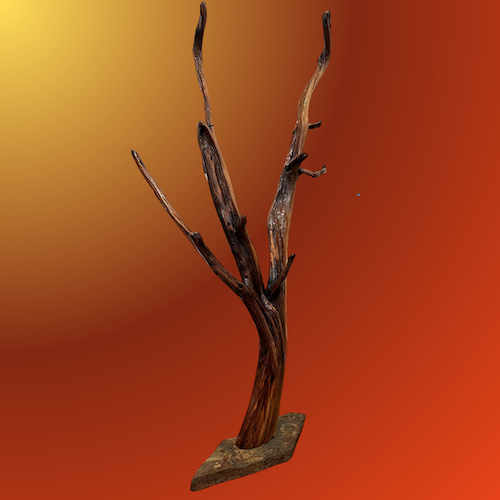 TC-020 Juniper Tree Sculpture 59.5 $475 at Hunter Wolff Gallery